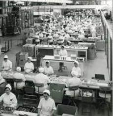 Laboratoires MSD-Chibret 